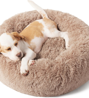 Calming Dog Bed for Small Dogs