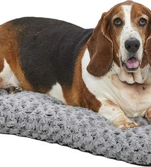Deluxe Dog Beds