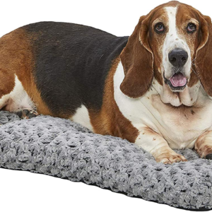 Deluxe Dog Beds