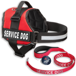 Service Dog Vest