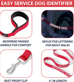 Service Dog Vest with Hook and Loop Straps