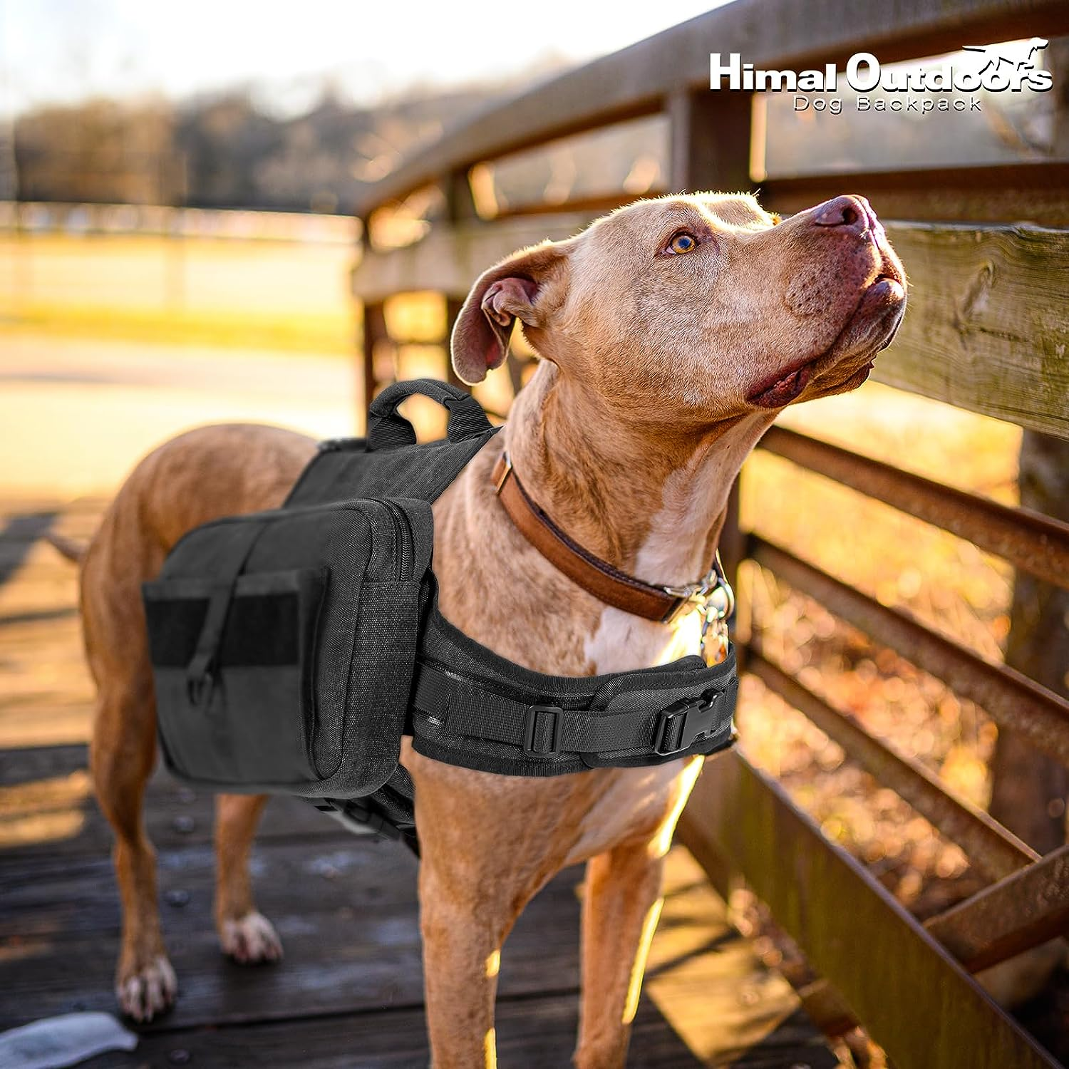 Dog Backpack, Dog Hiking Backpack, Saddle Bag for Large Dog with Side Pockets - Image 7