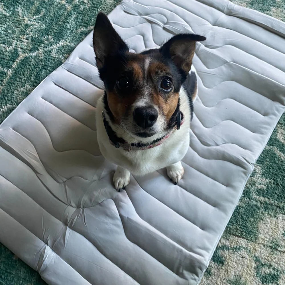 Cooling Mat for Dogs - Image 14