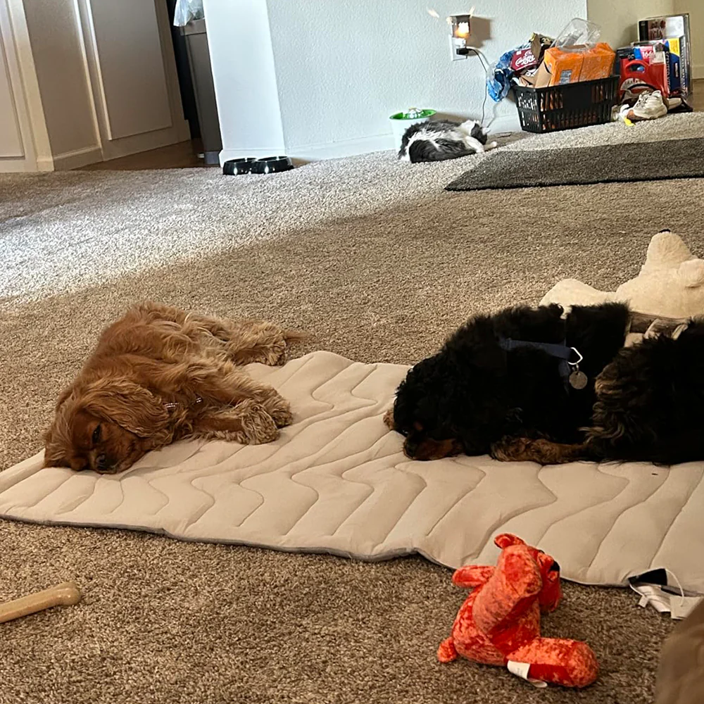 Cooling Mat for Dogs - Image 12