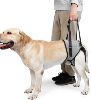 Help Em up Dog Harness for Back Legs for Elderly Dogs with Weak Hind Legs, Disabilities, Arthritis, or ACL Recovery