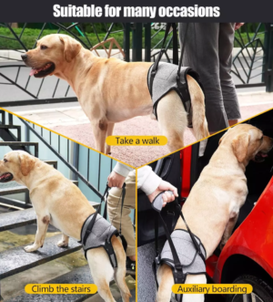 Help Em up Dog Harness for Back Legs for Elderly Dogs with Weak Hind Legs, Disabilities, Arthritis, or ACL Recovery