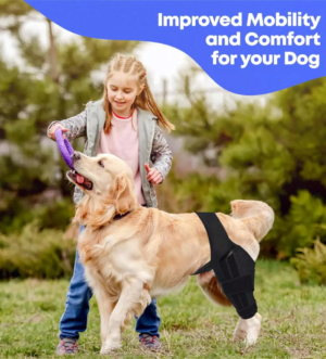 Best Dog Knee Brace for Torn ACL or Arthritis – Durable, Lightweight, and Adjustable ACL Support – Improve Mobility and Stability