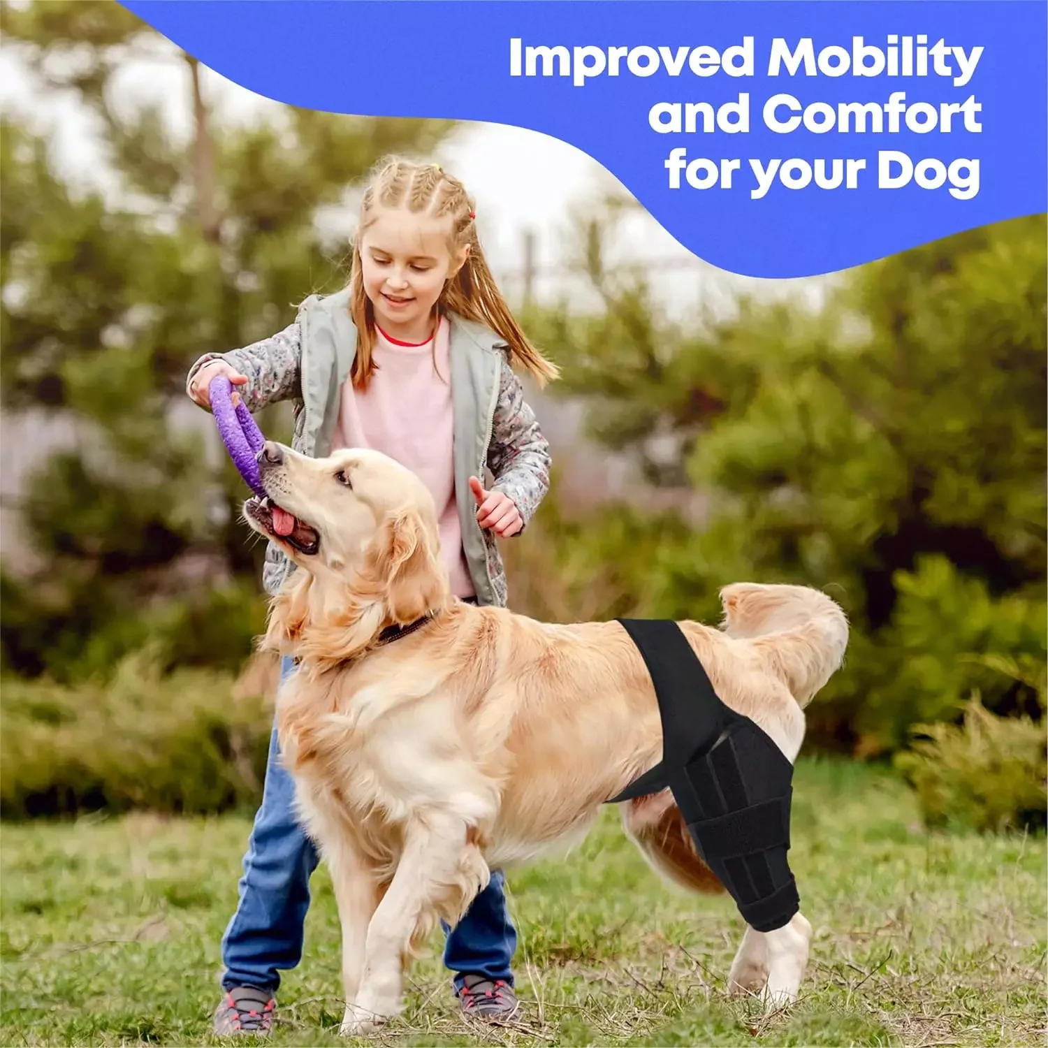 Best Dog Knee Brace for Torn ACL or Arthritis – Durable, Lightweight, and Adjustable ACL Support – Improve Mobility and Stability - Image 2