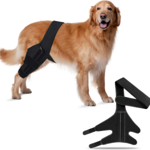 Best Dog Knee Brace