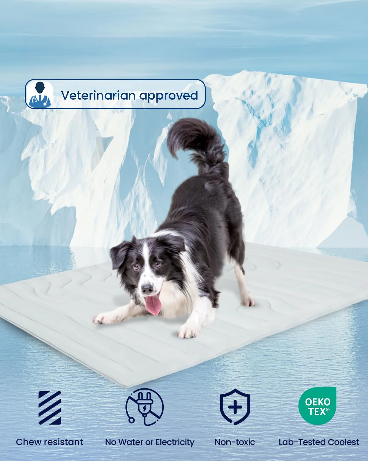 Cooling Mat for Dogs - Image 5