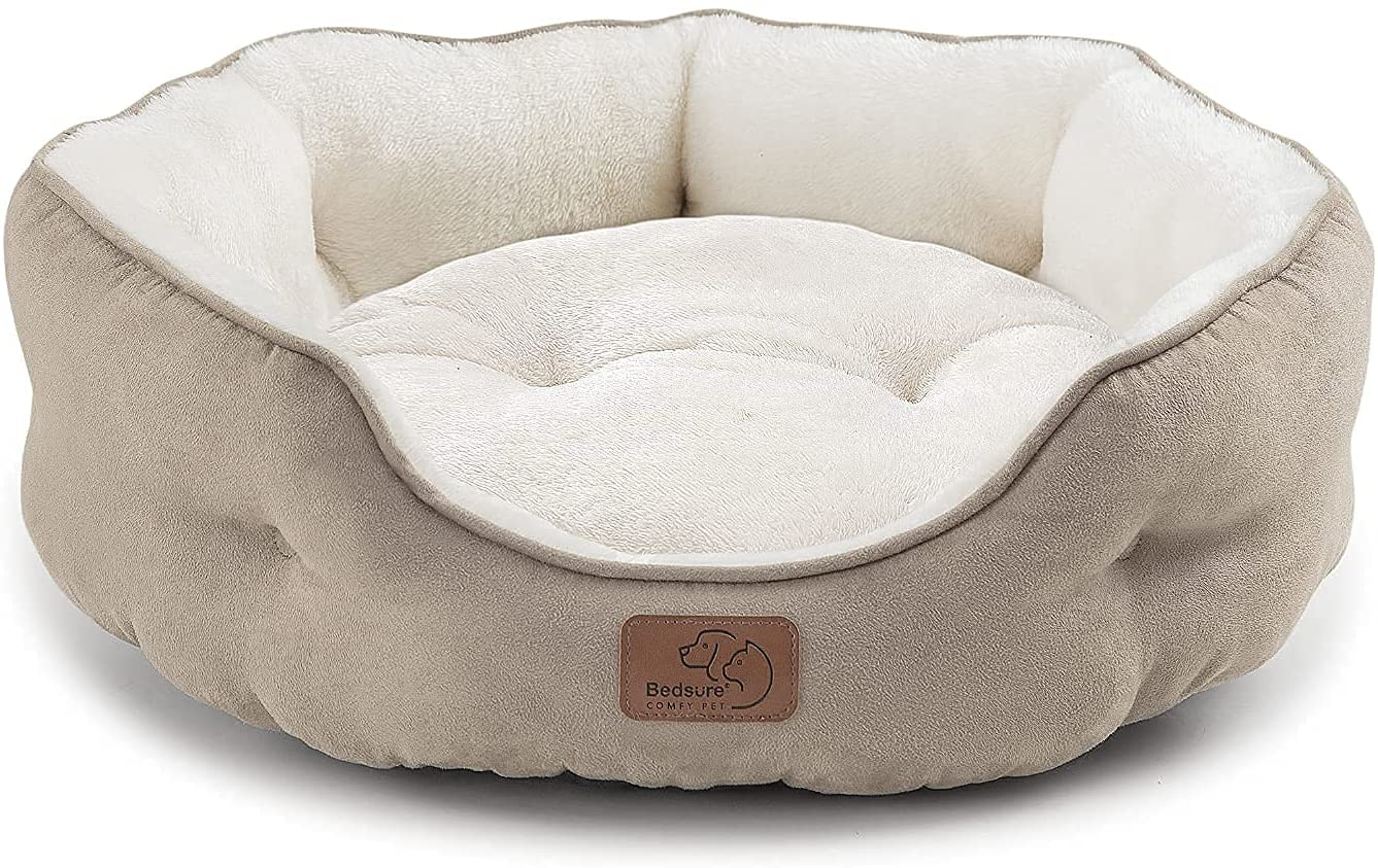 Dog Beds for Small Dogs