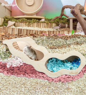 Hamster House W/Climbing Ladder