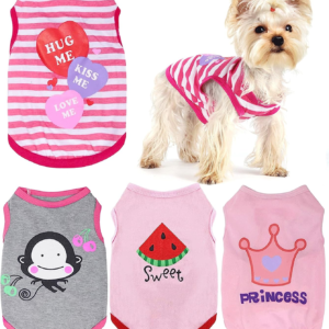 Small Dog Clothes