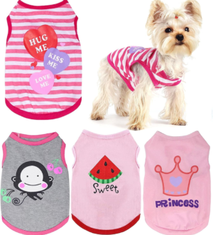 Small Dog Clothes